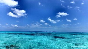 パラオの穏やかで透明な海 / Palau's calm and clear waters.    